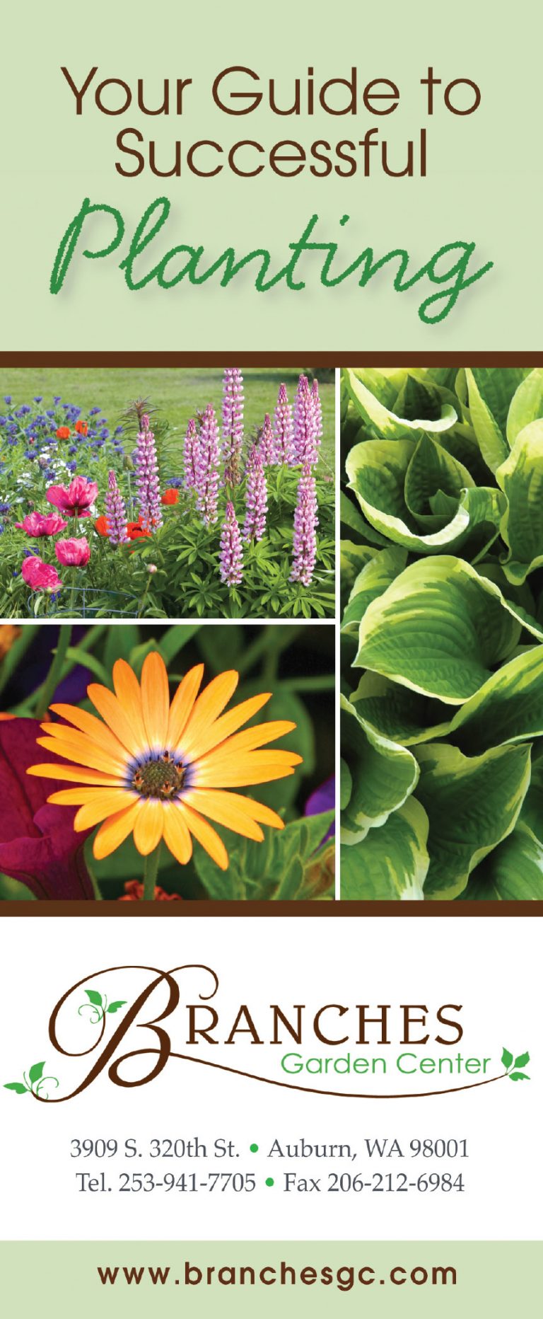 Planting Guides Garden Center Solutions